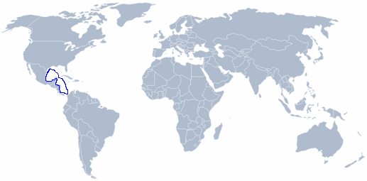 wereldkaart Argopecten irradians amplicostatus